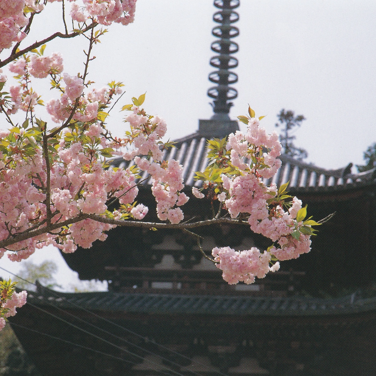 上山幹夫遺稿写真集