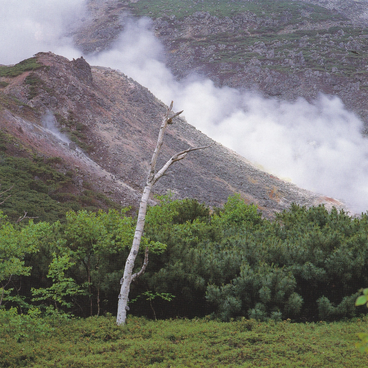 上山幹夫遺稿写真集