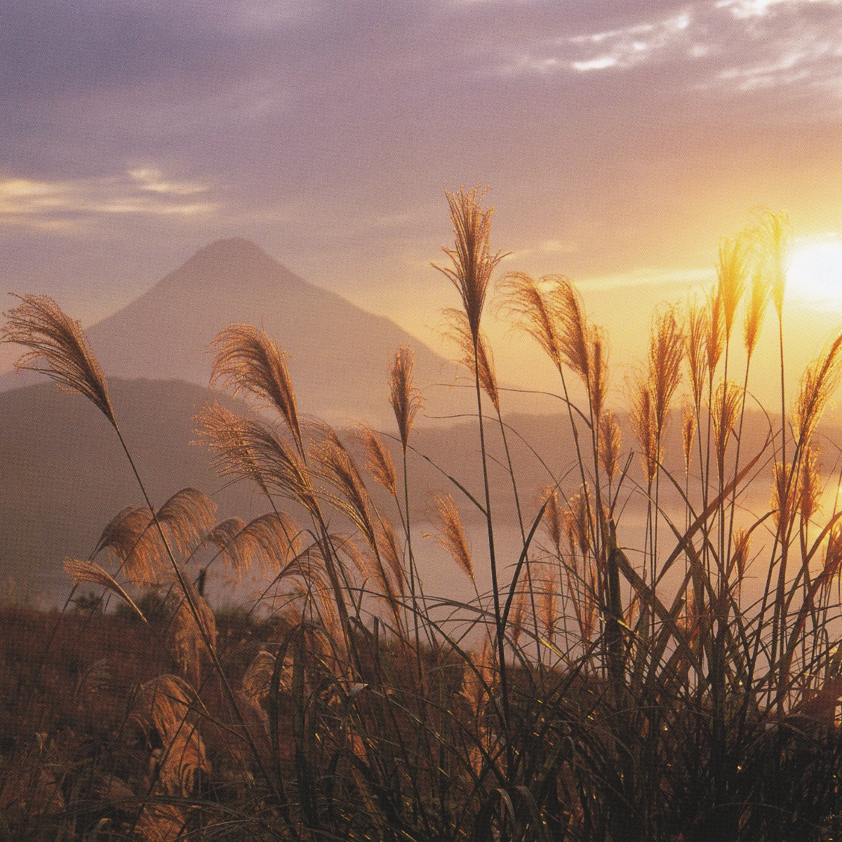 上山幹夫遺稿写真集